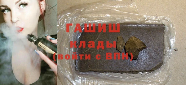 шишки Сатка