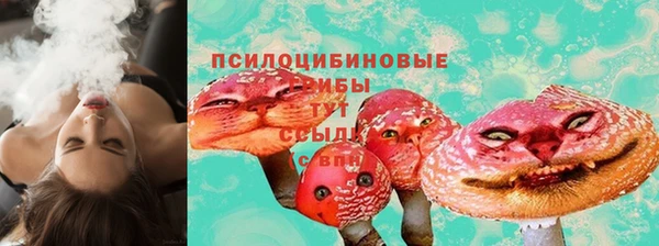 гидропоника Арсеньев