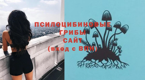 ГАЛЛЮЦИНОГЕННЫЕ ГРИБЫ Аркадак