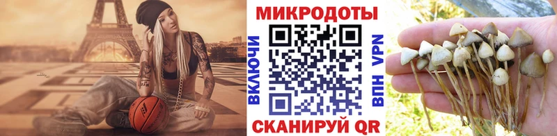 Галлюциногенные грибы мухоморы  Гремячинск 